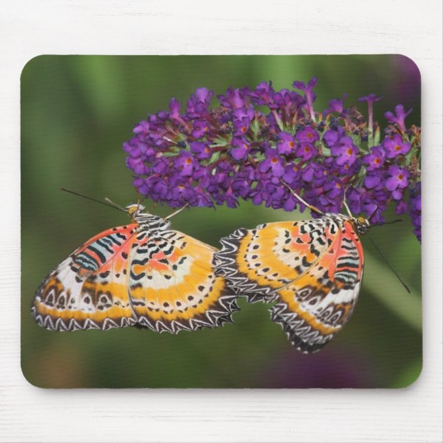 Tapis De Souris Duet Lacewing (Devant)