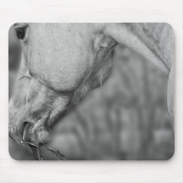 Tapis De Souris Dun Légèrement Dun Dapples - Mousepad (Devant)