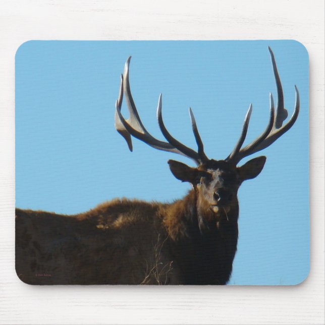 Tapis De Souris E27 Wapiti Cerf Cornu Silhouette (Devant)
