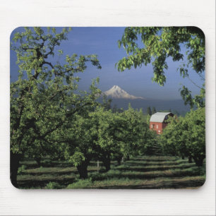 Tapis De Souris É.-U., Oregon, près de Hood River Mt. Hood avec
