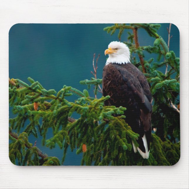 Tapis De Souris Eagle chauve (Devant)