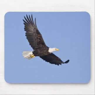 Tapis De Souris Eagle chauve américain