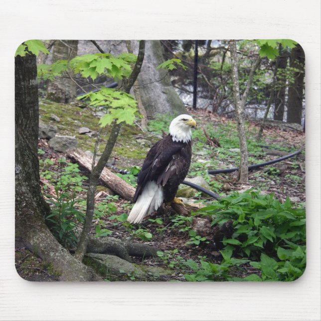Tapis De Souris Eagle chauve américain (Devant)
