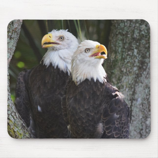 Tapis De Souris Eagle chauve américain Mousepad (Devant)