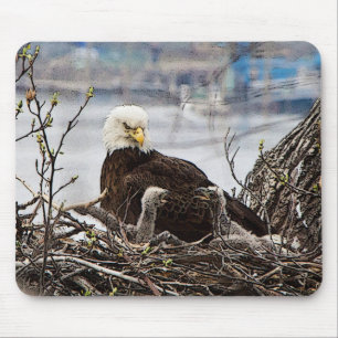 Tapis De Souris Eagle chauve avec des aiglons