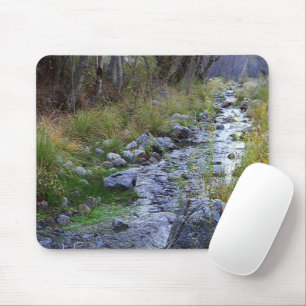 Tapis De Souris East Fork/Hayfork creek......