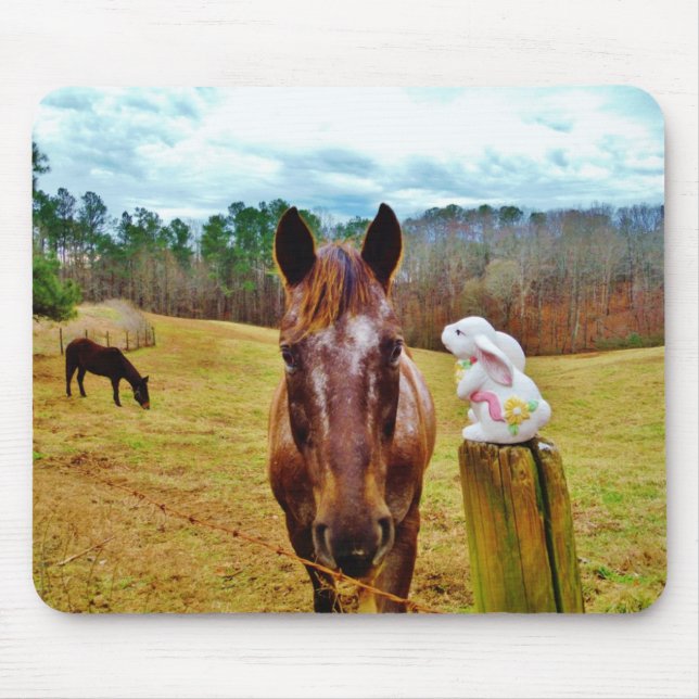 Tapis De Souris Easter Bunny and Brown horse (Devant)