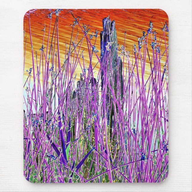 TAPIS DE SOURIS EAU (Devant)