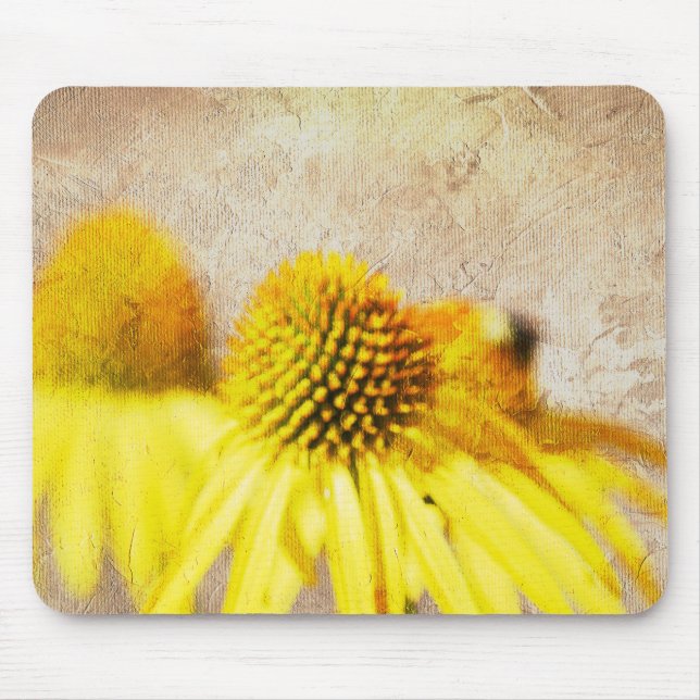 Tapis De Souris Echinacea Fleurs été (Devant)