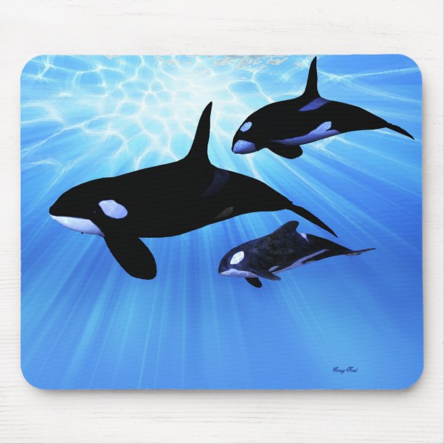 TAPIS DE SOURIS ECHO MOUSEPAD LÉGER (Devant)