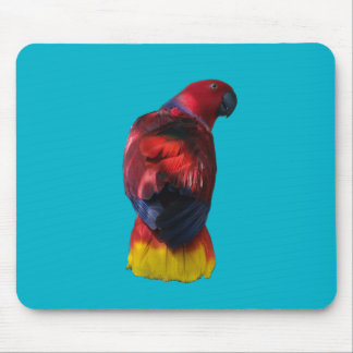 Tapis De Souris Eclectus
