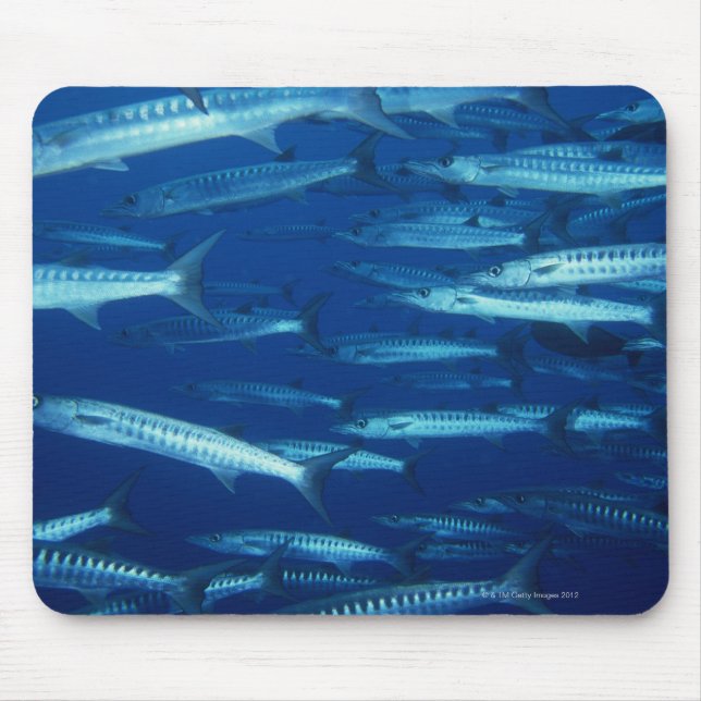 Tapis De Souris École de poisson 9 (Devant)