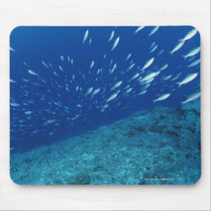Tapis De Souris École des poissons 6