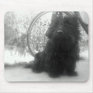 Tapis De Souris Écossais Terrier d'hiver