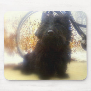 Tapis De Souris Écossais Terrier d'hiver