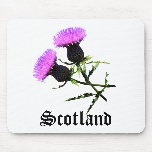 Tapis De Souris Ecosse, chardon (Devant)
