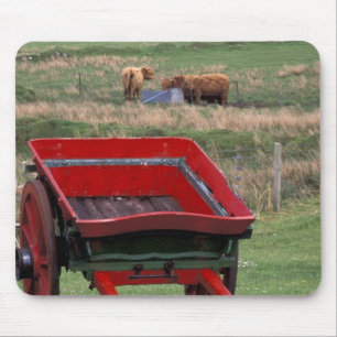 Tapis De Souris Écosse, île de Skye, Kilmuir. Animaux de ferme