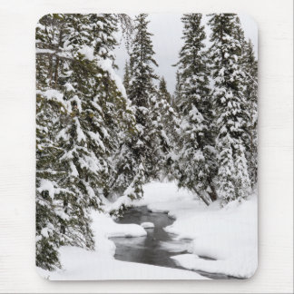 Tapis De Souris Écoulement à froid de rivière de Yellowstone