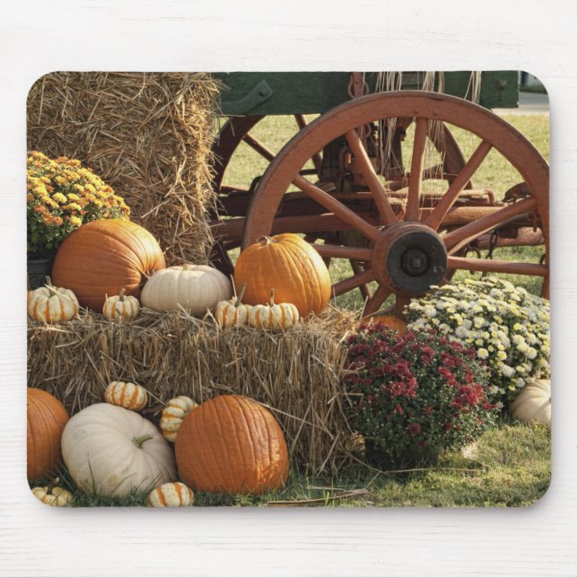 Tapis De Souris Écran Citrouille Automne Et Mère (Devant)