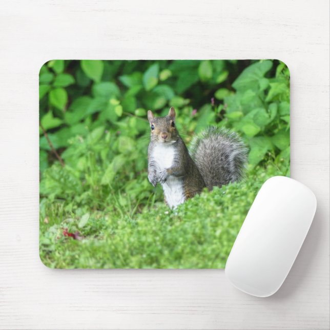 Tapis De Souris Écureuil (Avec souris)