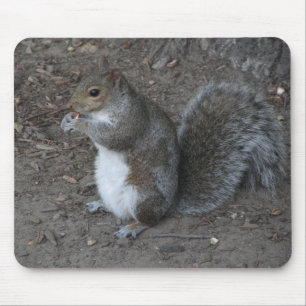 Tapis De Souris Écureuil
