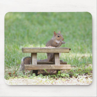 Tapis De Souris Écureuil à la table de pique-nique