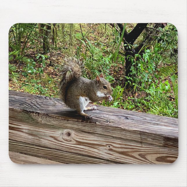 Tapis De Souris Écureuil affamé (Devant)