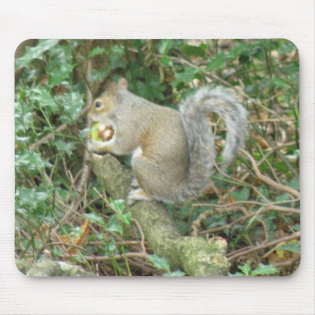 Tapis De Souris Écureuil avec Mousepad Acorn (Devant)