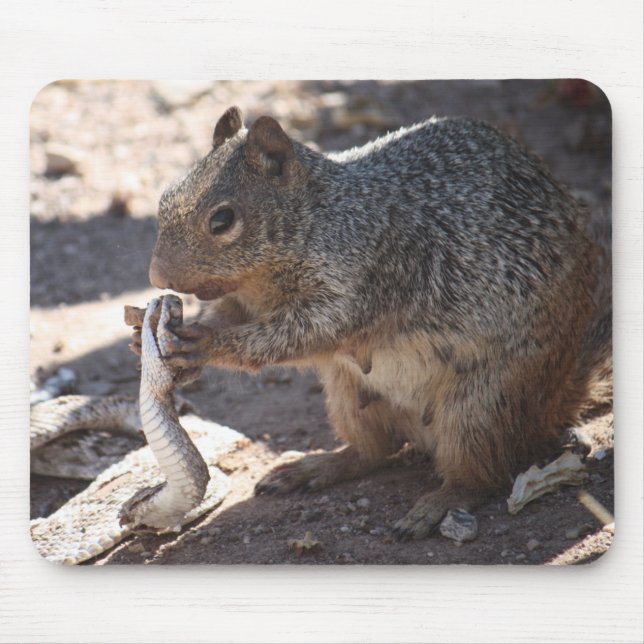 Tapis De Souris Écureuil contre le serpent à sonnettes Mousepad (Devant)