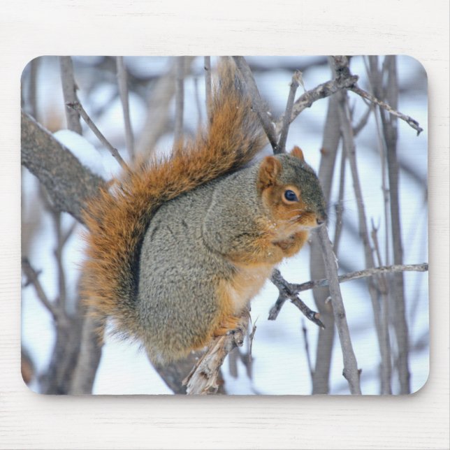 Tapis De Souris Écureuil d'hiver (Devant)