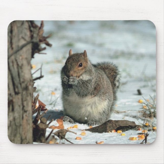 Tapis De Souris Écureuil d'hiver (Devant)