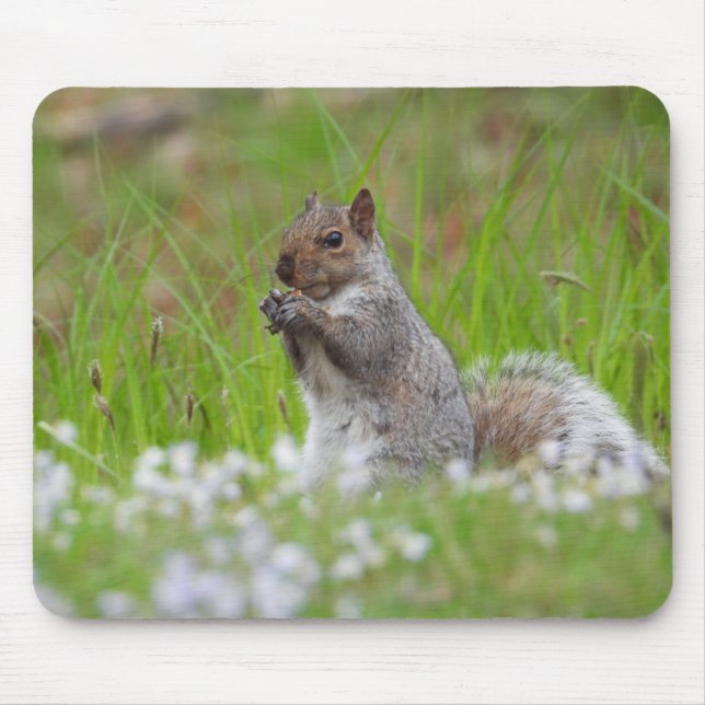 Tapis De Souris Écureuil gris adorable (Devant)