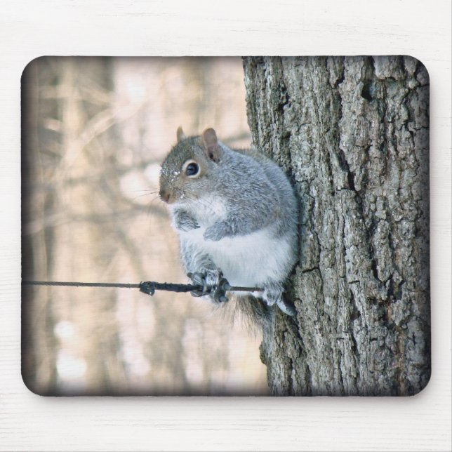 Tapis De Souris Écureuil gris - Sciurus carolinensis (Devant)