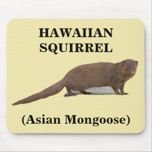 Tapis De Souris Écureuil hawaïen (mangouste asiatique) Mousepad