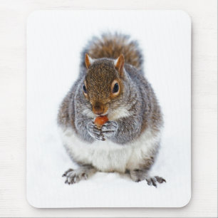 Tapis De Souris Écureuil mangeant une noix Photo mignonne d'hiver