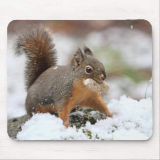 Tapis De Souris Écureuil mignon dans la neige avec l'arachide