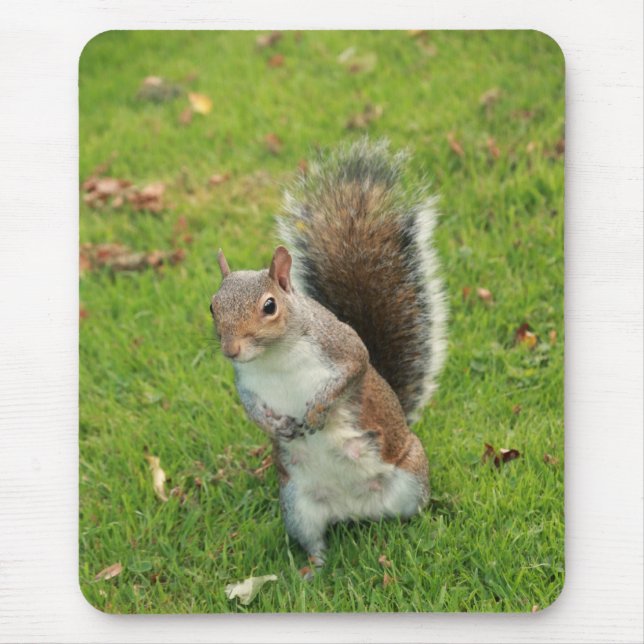 Tapis De Souris Écureuil Mousepad (Devant)