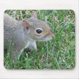 Tapis De Souris Écureuil Mousepad, comportant le "Clicker "