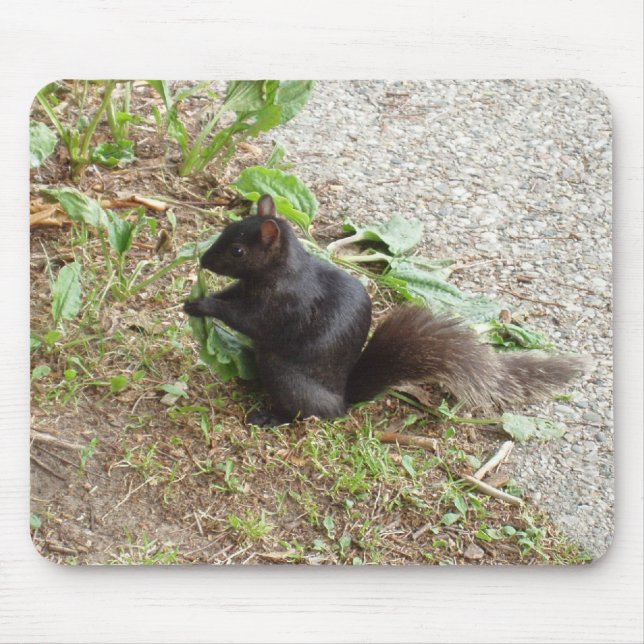 Tapis De Souris Écureuil noir (Devant)