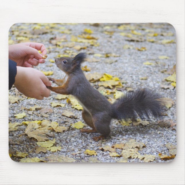 Tapis De Souris Écureuil rouge (Devant)