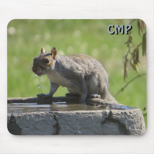 Tapis De Souris Écureuil sur bain d'oiseaux avec vos initiales (Devant)