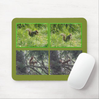 Tapis de souris écureuils marrons et rouges
