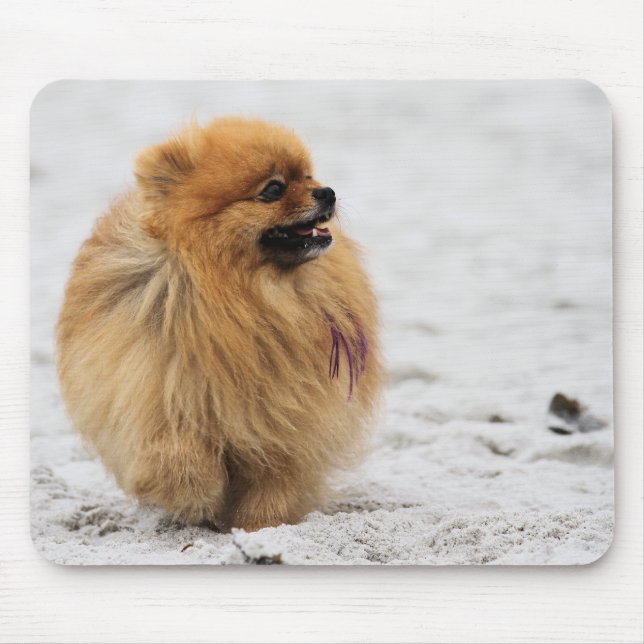 Tapis De Souris Edgrrrr #3 - Pomeranian (Devant)