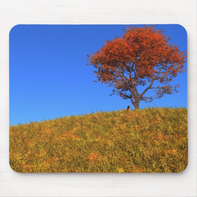 Tapis De Souris Effacer la journée d'automne Mousepad (Devant)