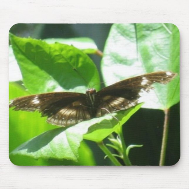 Tapis De Souris Effectuez le vol (Devant)