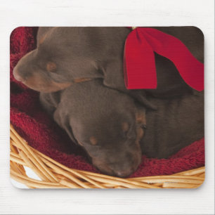 Tapis De Souris Également dobermann Pincher. Chien domestique