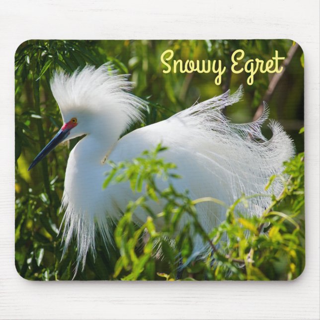 Tapis De Souris Egret neigeux (Devant)