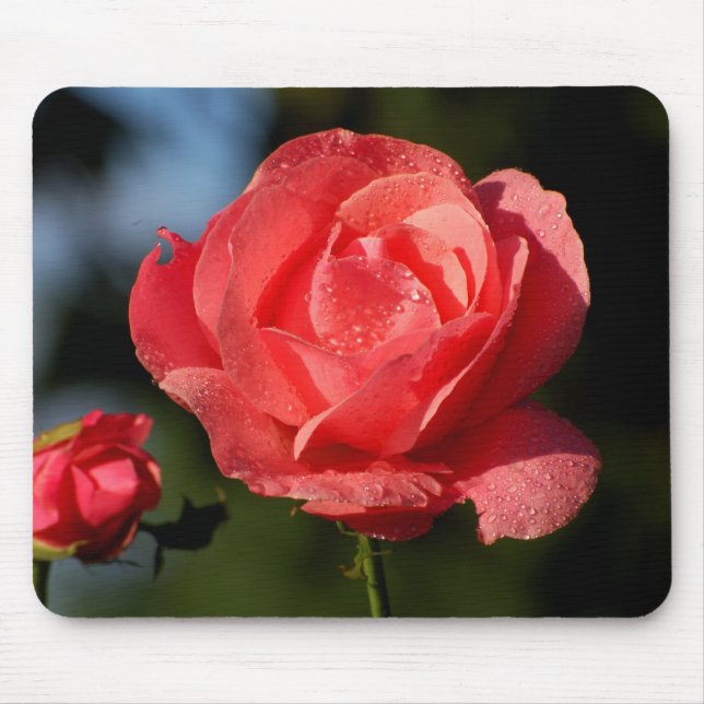 Tapis De Souris Eine Rose für die Liebste.... (Devant)