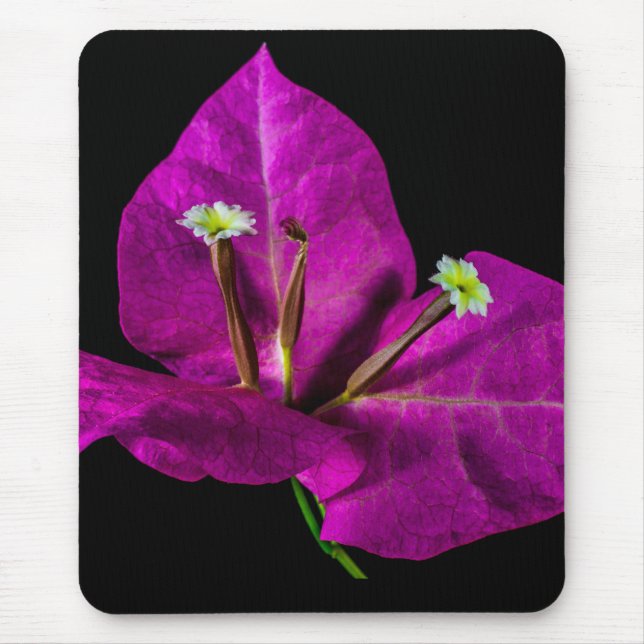 Tapis De Souris Élégant Bougainvillier violet (Devant)