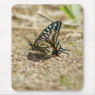 Tapis De Souris Élégant papillon asiatique Swallowtail - Mac détai